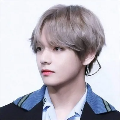 Et lequel repr&eacute;sente V ?