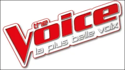 Julien Clerc sera un coach de la saison 8 de "The Voice".