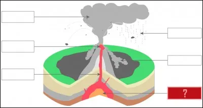 /Sciences de la Vie et de la Terre/ Complétez la case rouge de ce schéma.