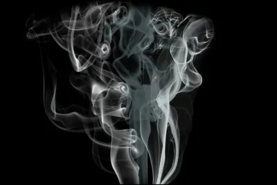 /Chimie/ En présence de quel gaz l'eau de chaux se trouble-t-elle ?