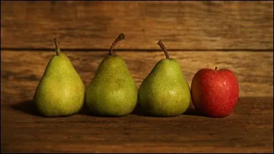 /Anglais/ Trouvez l'intrus.