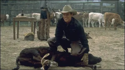 Dans quel film peut-on le voir ainsi ?