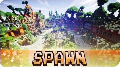 Quel est le serveur le mieux connu et le plus joué ?