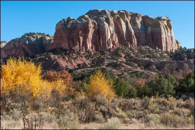 Quel État se trouve au nord du Nouveau-Mexique ?