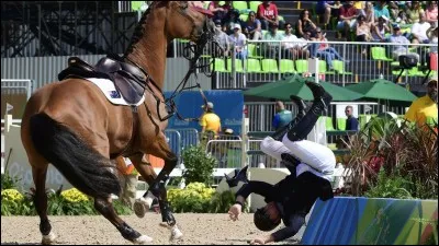 Tu as tiré les rênes du cheval et il t'a fait tomber :