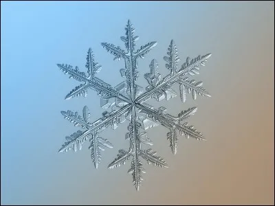 Quel est ce film Disney ?