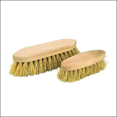 Le nom de ces brosses est ...