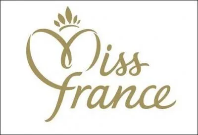 A l'lection de Miss France 2010, quel chanteur a interprt une mlodie sur scne ?