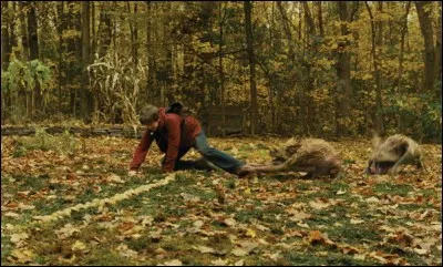 Qu'est-ce qui protège la maison des gobelins ?