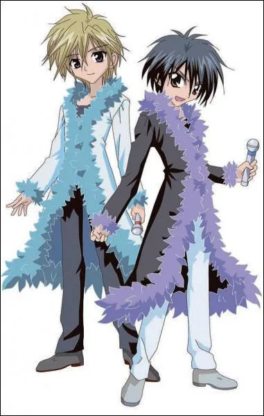 Comment s'appelle leur groupe ?