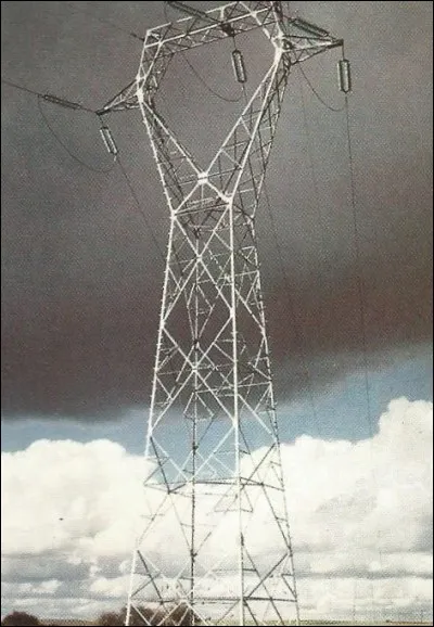 Ce genre de pylône porte le nom d'un animal : lequel ?