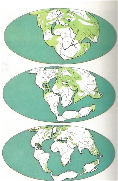 Qui a proposé la théorie de la dérive des continents ?