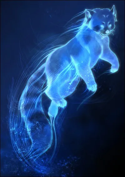 À qui appartient ce Patronus ?