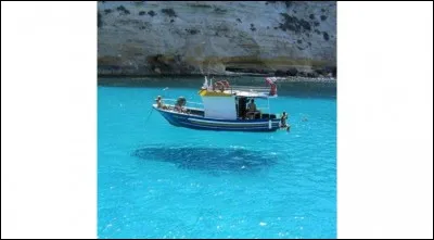 Une belle illusion d'optique : l'eau est si claire que le bateau semble voler... Question vol, comment se nomme le poisson volant ?