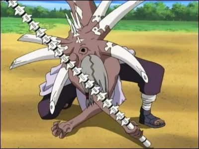 Pourquoi Kimimaro meurt-il ?