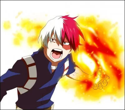 Comment Shoto a-t-il été brûlé ?