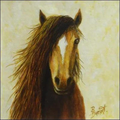 Pouvez-vous décrire les marques blanches de celui-ci ?