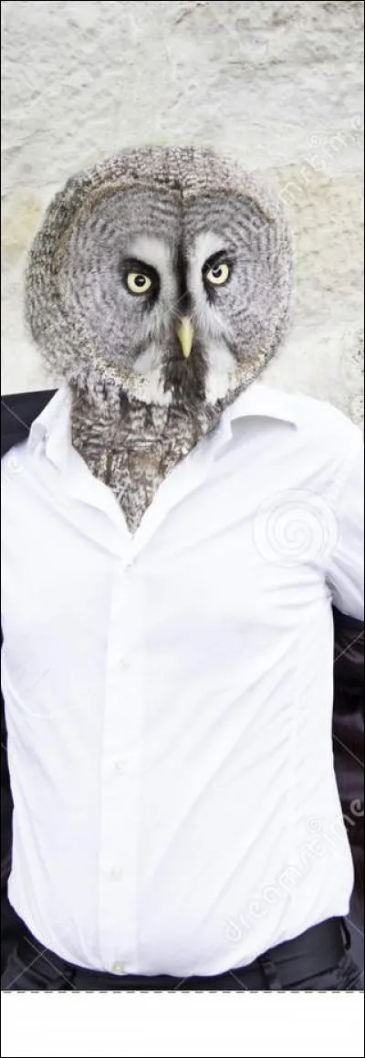 Pour avoir balancé sa fille Perséphone d'avoir mangé une grenade, la déesse Déméter métamorphosa ce jardinier du dieu Hadès en chouette. Qui est-il ?