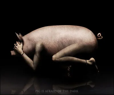 Les compagnons d'Ulysse seront transformé en porcs par quelle magicienne ?