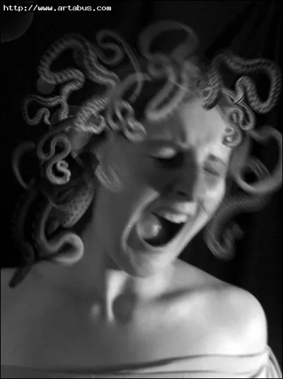 La Méduse forniquant avec Poséidon dans le temple d'une déesse, surprise par cette dernière, furieuse elle la changea en femme-serpent. Qui est cette impitoyable divinité ?
