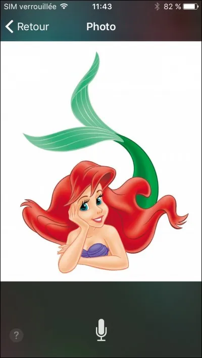 Quelle est cette princesse ?