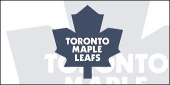 Quel est le nom de cette quipe ?