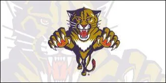 Quel est le nom de cette quipe ?