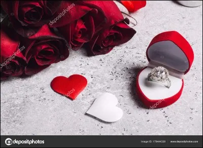 Napol&eacute;on Bonaparte a &eacute;pous&eacute; Jos&eacute;phine de Beauharnais en 1796.