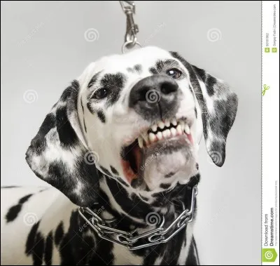 Ton pire ennemi devient Alpha...