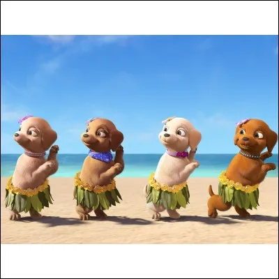 Un chien de la meute revient au camp avec des chiots inconnus...