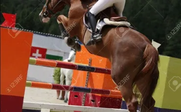 Quiz Galop 4