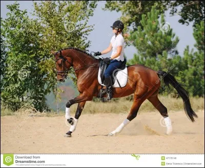 Pour partir au galop à droite sur le bon pied, il faut savoir que :