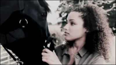 Comment faut-il se comporter avec les chevaux ?