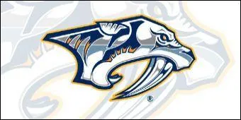 Quel est le nom de cette quipe ?