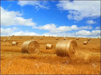 Combien un hectare fait-il de m² ?