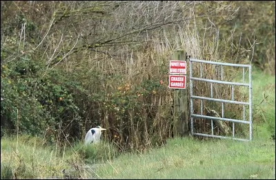Comment s'appelle l'entrée d'un champ ?
