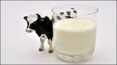 Que donnent les vaches ?