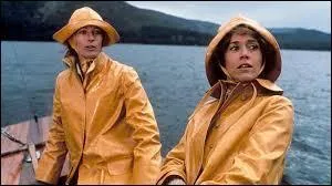 Dans ce superbe film d'amiti, elle tient le rle de l'crivain Lilian Hellman, compagne de l'crivain Dashiell Hammet, et va en Allemagne nazie tenter de sauver son amie que joue Vanessa Redgrave