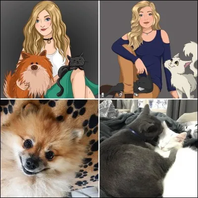 De quelles couleurs sont ses animaux ?