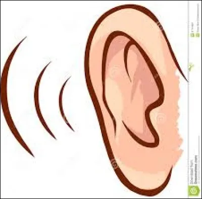 Qu'est-ce que c'est ?