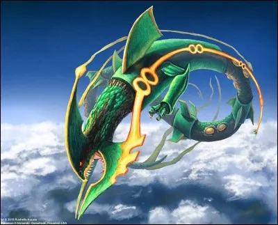 De quelle famille est Rayquaza ?