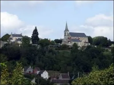 Ancienne commune du Centre-Val-de-Loire, Saint-Michel-sur-Loire se situe dans le d&eacute;partement ...
