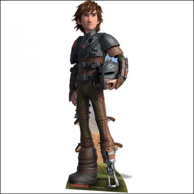 Quel âge a Harold quand il devient chef de la tribu ?