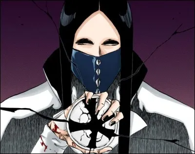 Pour quelle raison les Quincy ont-ils perdu le moyen de voler les Bankais ?