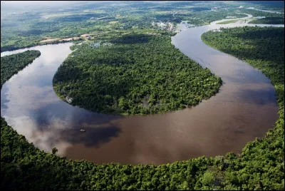 Comment s'appelle le fleuve qui traverse la forêt ?