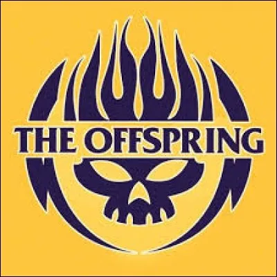 Offspring chante ''Why Don't You Get A Job? ''. D'après le président Macron, quel est le meilleur moyen de trouver du boulot ?