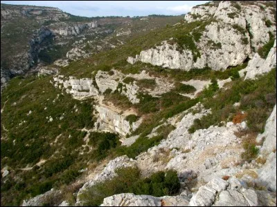 Sur le chemin des collines, on peut voir le ou la.... de Manon.