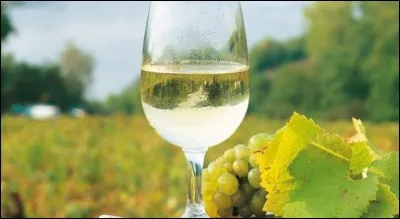 Et voici un excellent vin que l'on fête au mois d'août !