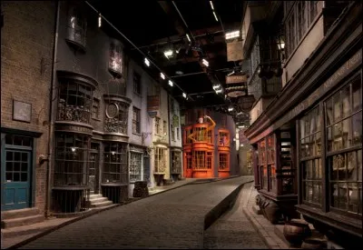 Quel magasin n'existe pas dans le chemin de Traverse ?