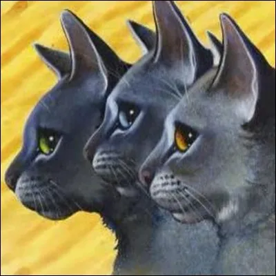 Qui a tué la mère adoptive de Pelage de Silex et Étoile de Brume ?